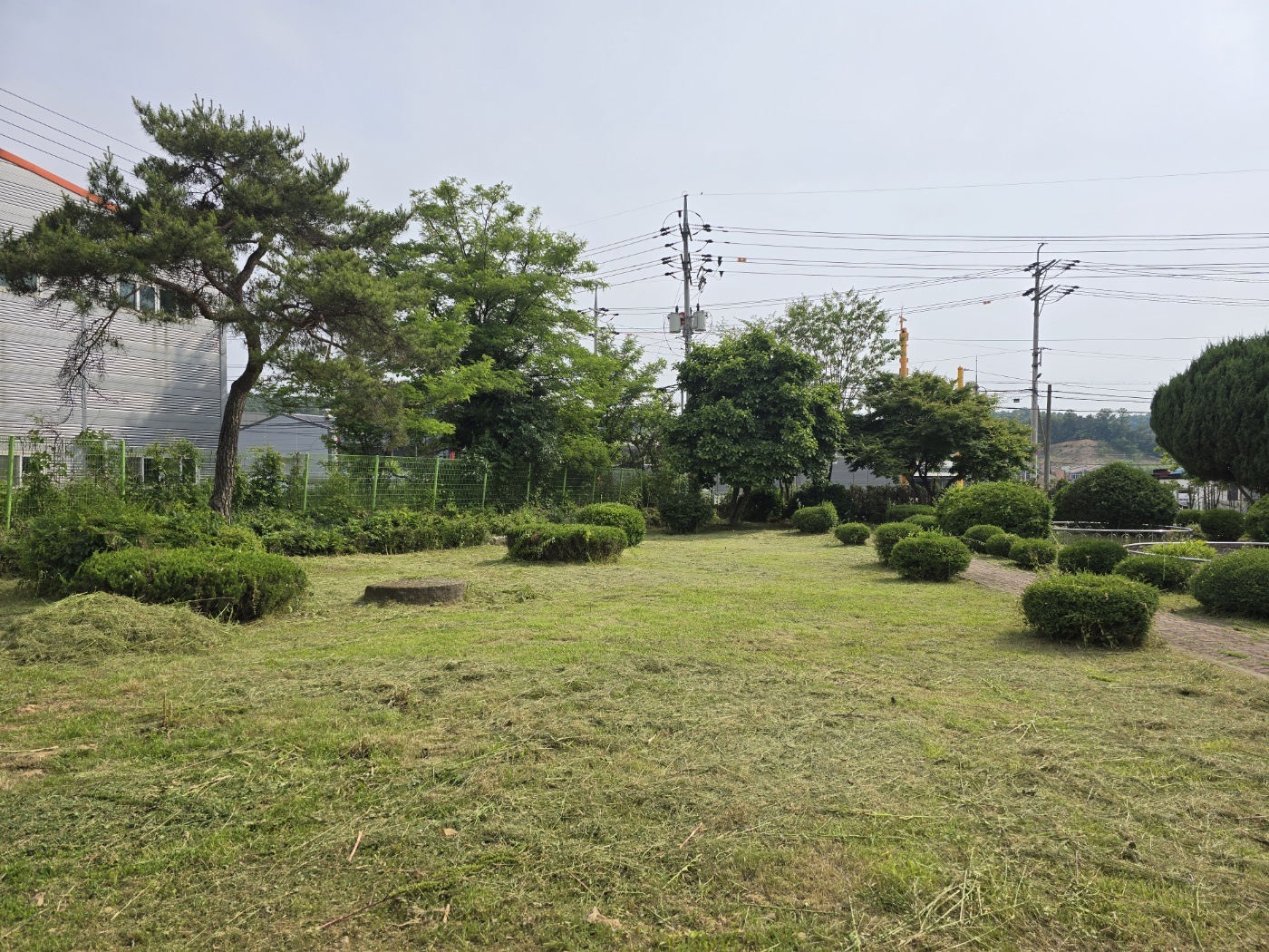 인천의 조경관리 현장. 예초를 완료하여 잔디밭이 단정하게 정돈된 모습.